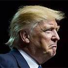 Donald Trump Donald Trump