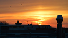 Cesenatico: tramonto sui tetti