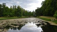 Residenza imperiale estiva a Pushkin: il giardino